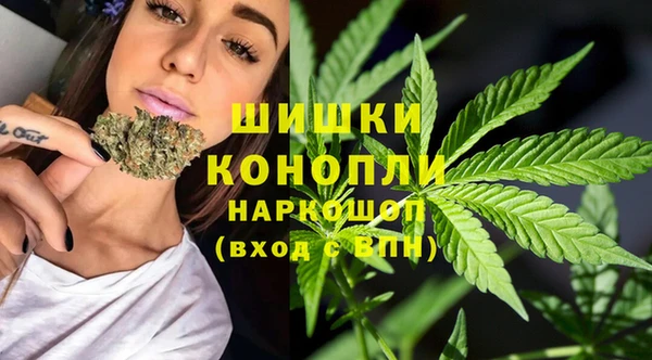 spice Арсеньев
