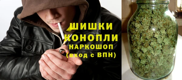 spice Арсеньев
