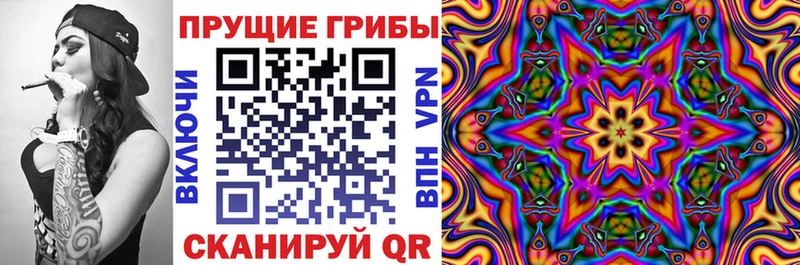Псилоцибиновые грибы GOLDEN TEACHER  Зубцов 